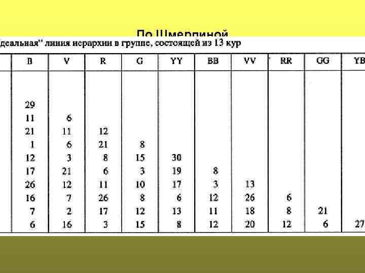 По Шмерлиной 