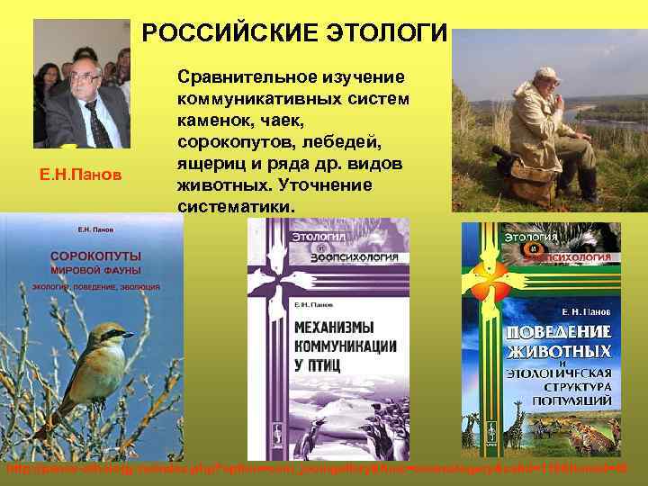 РОССИЙСКИЕ ЭТОЛОГИ Е. Н. Панов Сравнительное изучение коммуникативных систем каменок, чаек, сорокопутов, лебедей, ящериц