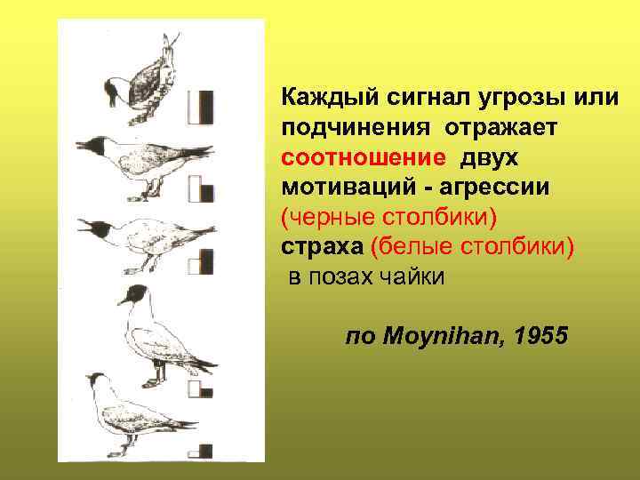 Каждый сигнал угрозы или подчинения отражает соотношение двух мотиваций - агрессии (черные cтолбики) страха