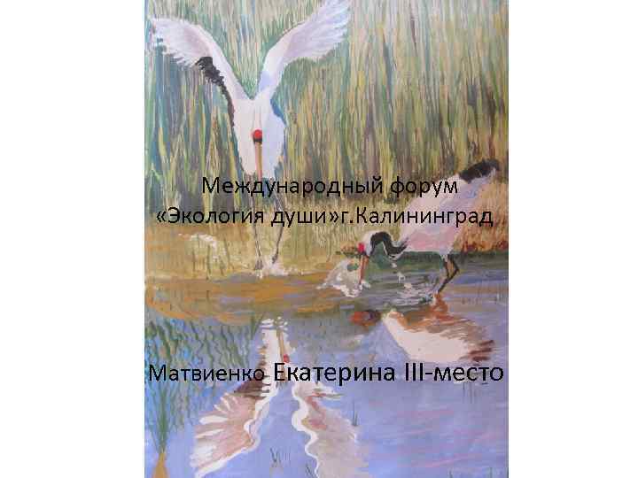 Международный форум «Экология души» г. Калининград Матвиенко Екатерина III-место 