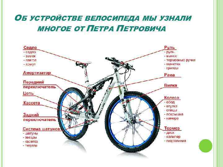 ОБ УСТРОЙСТВЕ ВЕЛОСИПЕДА МЫ УЗНАЛИ МНОГОЕ ОТ ПЕТРА ПЕТРОВИЧА 