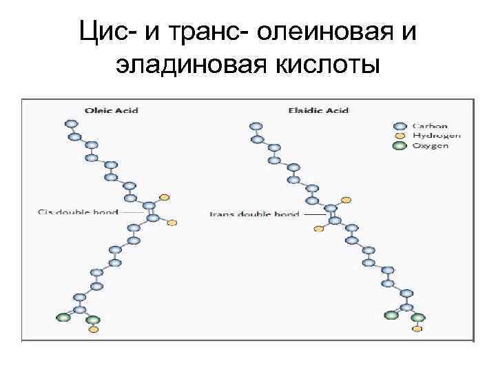 Цис- и транс- олеиновая и эладиновая кислоты 