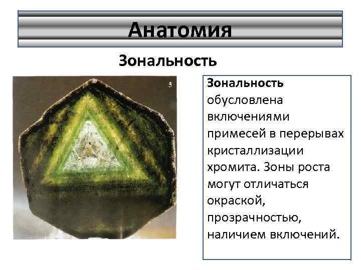 Анатомия Зональность обусловлена включениями примесей в перерывах кристаллизации хромита. Зоны роста могут отличаться окраской,