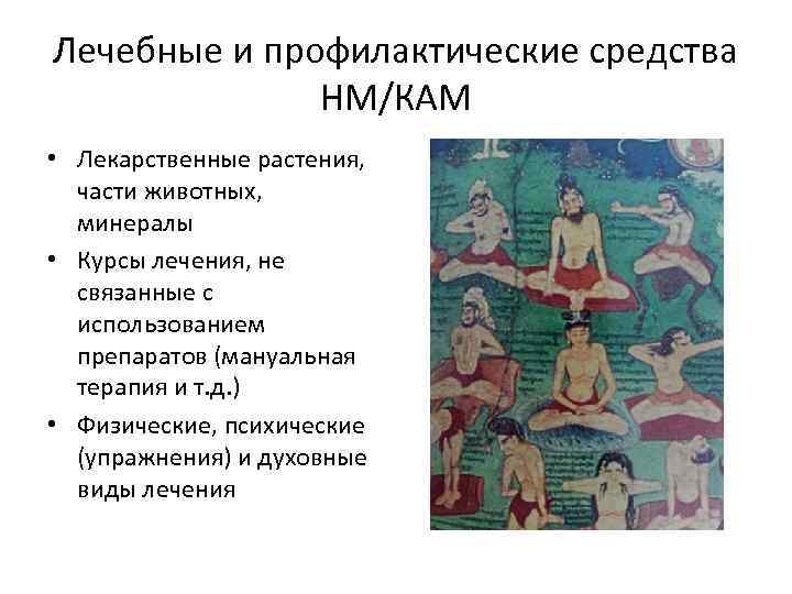 Лечебные и профилактические средства НМ/КАМ • Лекарственные растения, части животных, минералы • Курсы лечения,