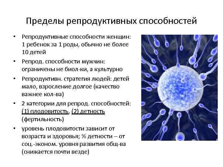 Пределы репродуктивных способностей • Репродуктивные способности женщин: 1 ребенок за 1 роды, обычно не