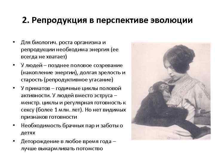 2. Репродукция в перспективе эволюции • Для биологич. роста организма и репродукции необходима энергия