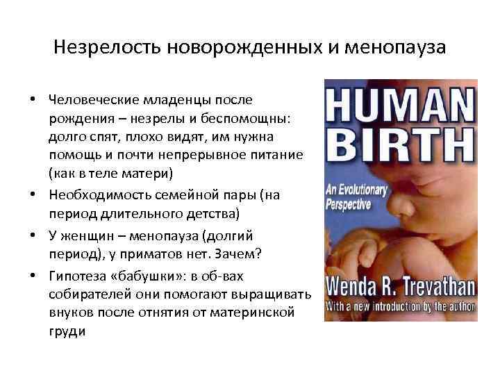 Незрелость новорожденных и менопауза • Человеческие младенцы после рождения – незрелы и беспомощны: долго