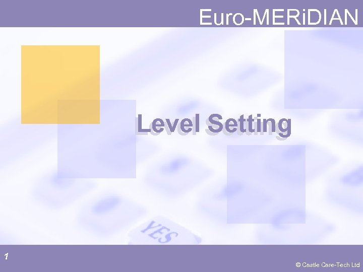 Euro-MERi. DIAN Level Setting 1 © Castle Care-Tech Ltd 