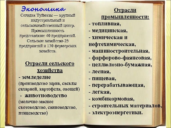Экономика Сегодня Туймазы — крупный индустриальный и сельскохозяйственный центр. Промышленность представляют 40 предприятий. Сельское