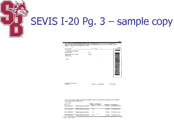 SEVIS I-20 Pg. 3 – sample copy 