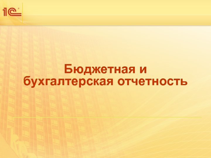 Бюджетная и бухгалтерская отчетность 