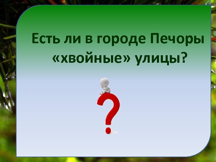 Есть ли в городе Печоры «хвойные» улицы? 