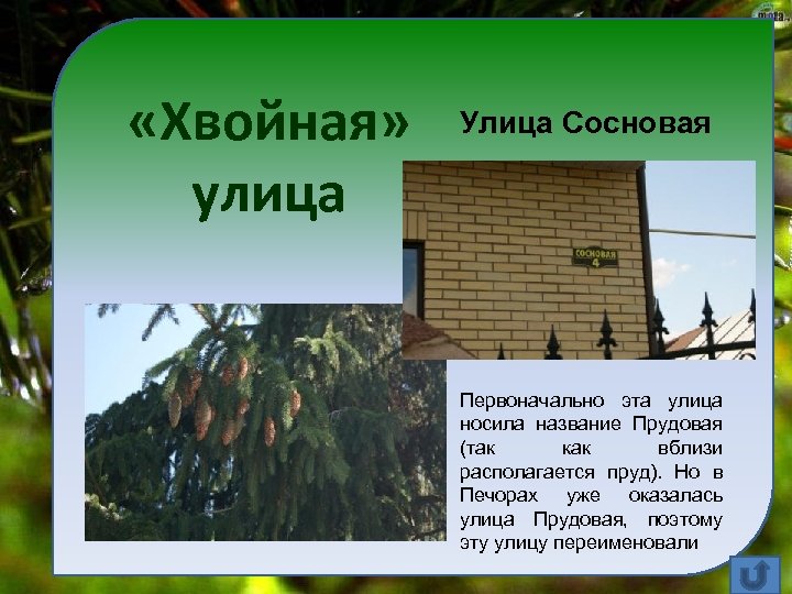  «Хвойная» улица Улица Сосновая Первоначально эта улица носила название Прудовая (так как вблизи