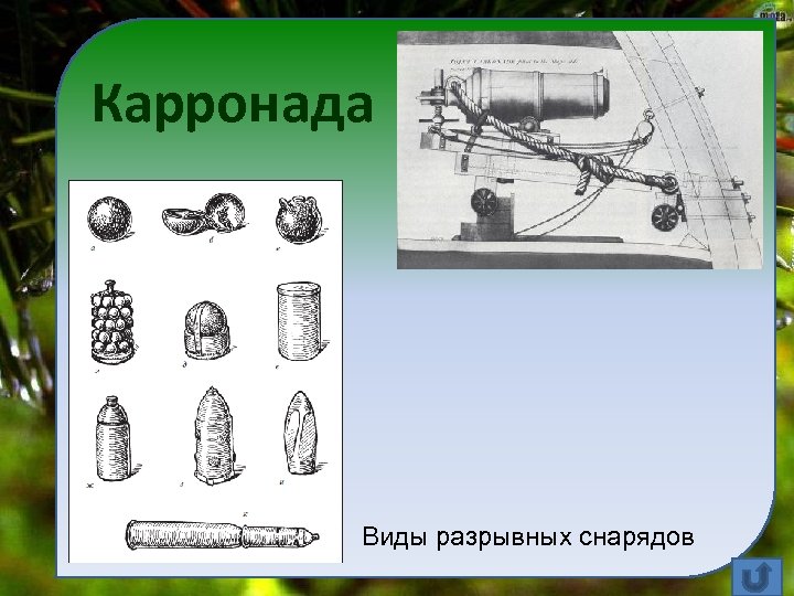 Карронада Виды разрывных снарядов 