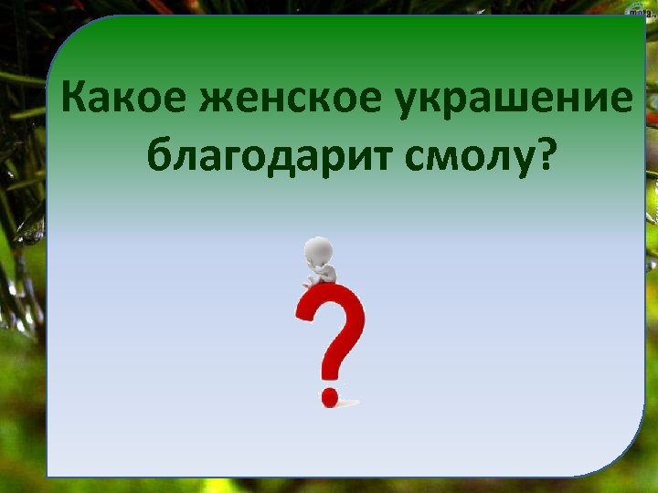 Какое женское украшение благодарит смолу? 