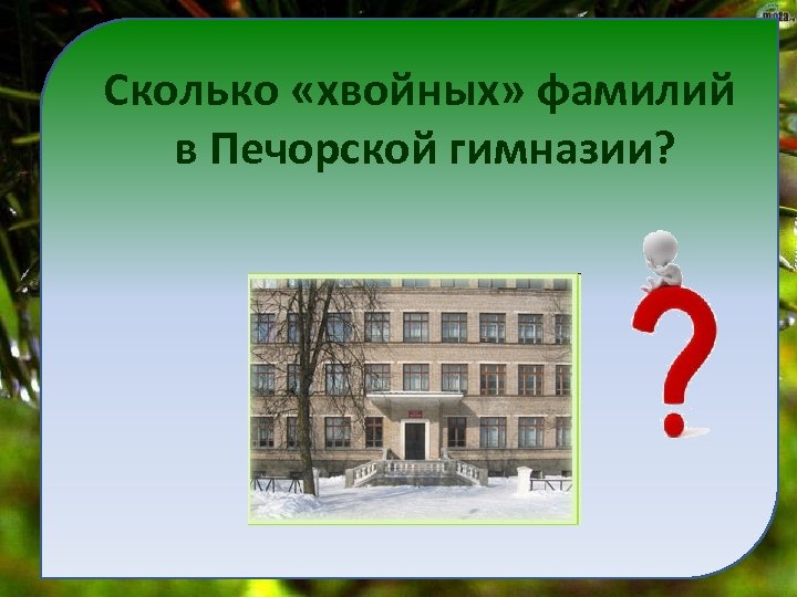 Сколько «хвойных» фамилий в Печорской гимназии? 