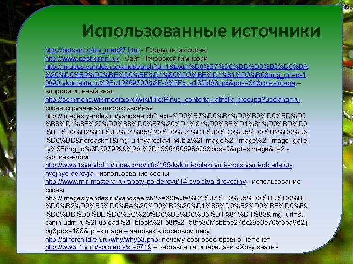 Использованные источники http: //botsad. ru/div_med 27. htm - Продукты из сосны http: //www. pechgimn.