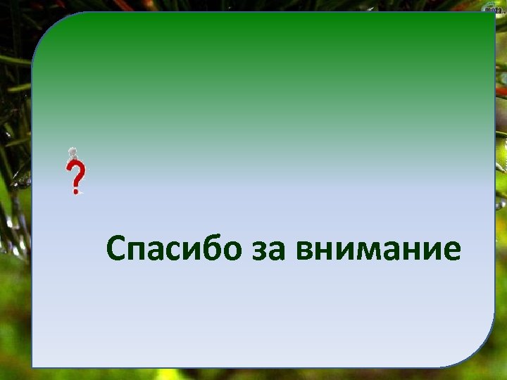 Спасибо за внимание 