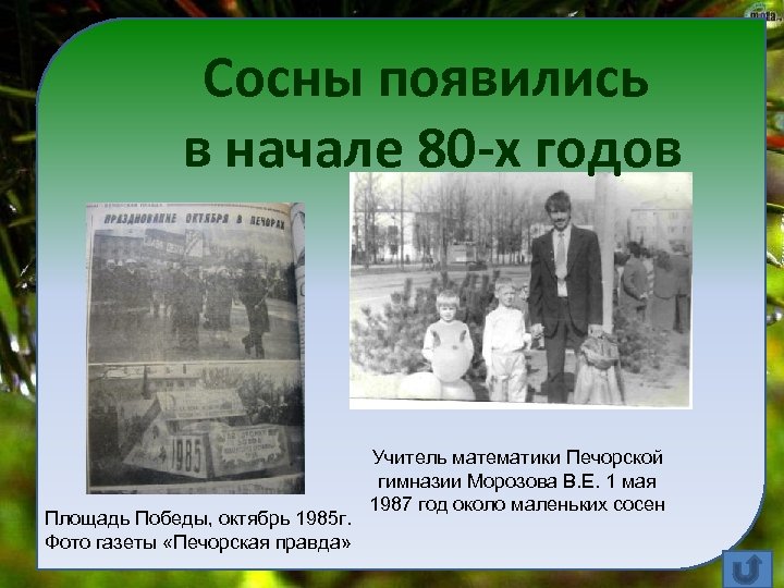 Сосны появились в начале 80 -х годов Площадь Победы, октябрь 1985 г. Фото газеты