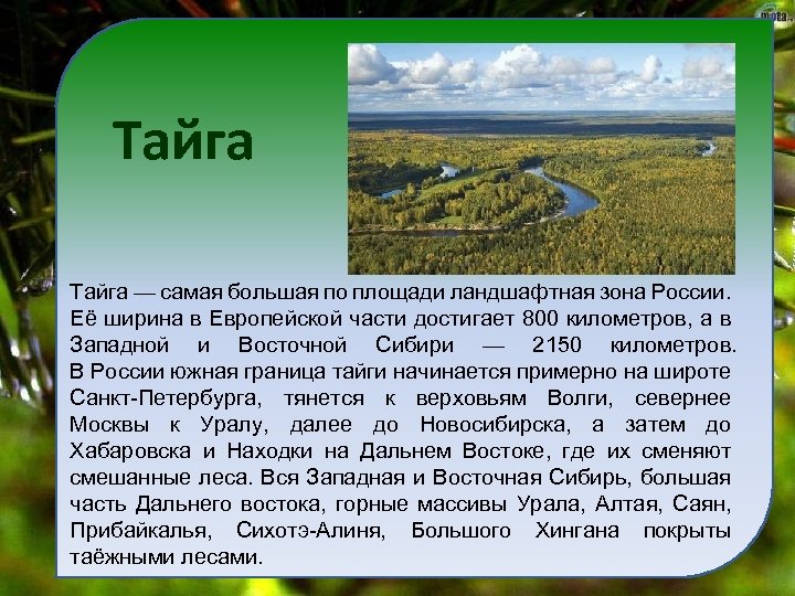 Тайга самая большая по площади природная зона. Самая большая Ландшафтная зона России. Самая большая по площади Ландшафтная зона России. Площадь тайги в России. Откуда начинается Тайга.