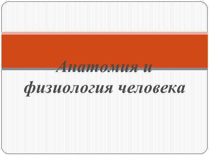 Анатомия и физиология человека 