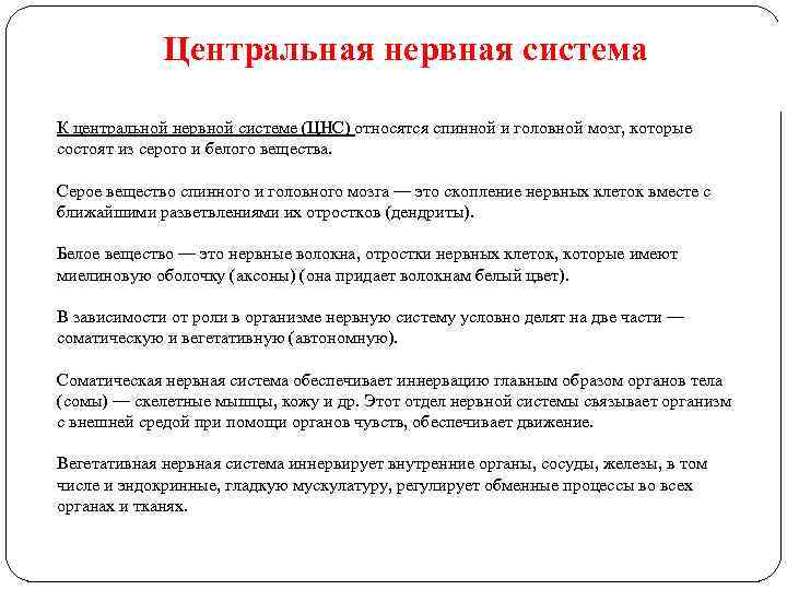 Центральная нервная система К центральной нервной системе (ЦНС) относятся спинной и головной мозг, которые