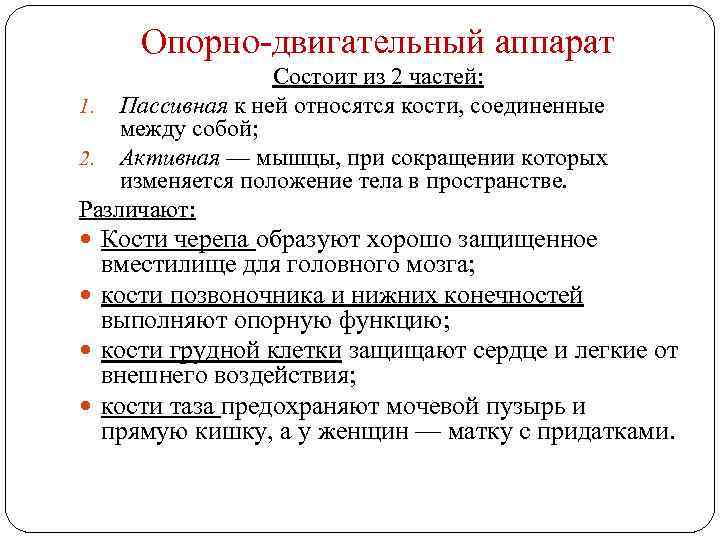 Опорно двигательный аппарат Состоит из 2 частей: 1. Пассивная к ней относятся кости, соединенные
