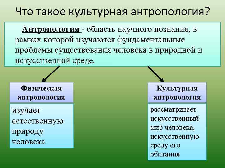 Что такое культурная антропология? Антропология область научного познания, в рамках которой изучаются фундаментальные проблемы