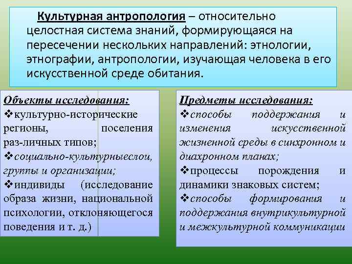 Культурная антропология – относительно целостная система знаний, формирующаяся на пересечении нескольких направлений: этнологии, этнографии,