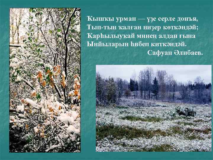 Ҡышҡы урман — үҙе серле донъя, Тып-тын ҡалған ниҙер көткәндәй; Ҡарһылыуҡай минең алдан ғына