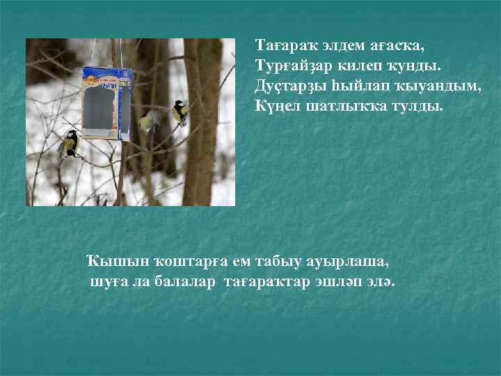 Тағараҡ элдем ағасҡа, Турғайҙар килеп ҡунды. Дуҫтарҙы һыйлап ҡыуандым, Күңел шатлыҡҡа тулды. Ҡышын ҡоштарға