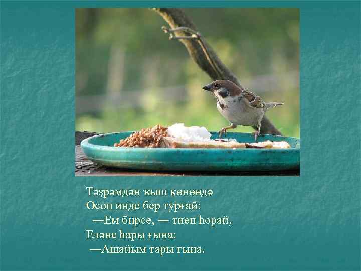 Тәҙрәмдән ҡыш көнөндә Осоп инде бер турғай: ―Ем бирсе, ― тиеп һорай, Еләне һары