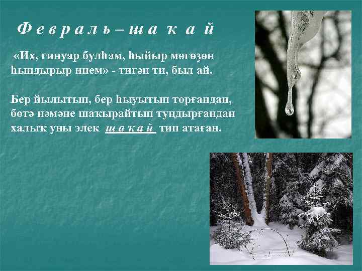 Февраль–ша ҡ а й «Их, ғинуар булһам, һыйыр мөгөҙөн һындырыр инем» - тигән ти,