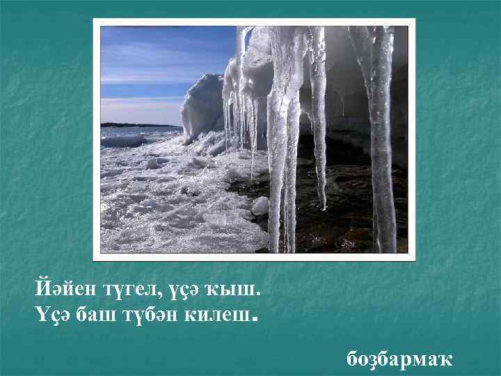 Йәйен түгел, үҫә ҡыш. Үҫә баш түбән килеш. боҙбармаҡ 