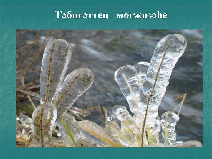 Тәбиғәттең мөғжизәһе 