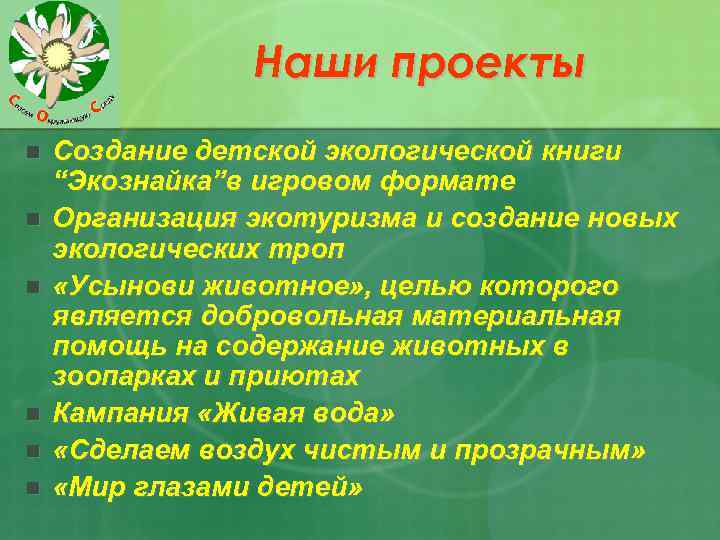 Наши проекты n n n Создание детской экологической книги “Экознайка”в игровом формате Организация экотуризма