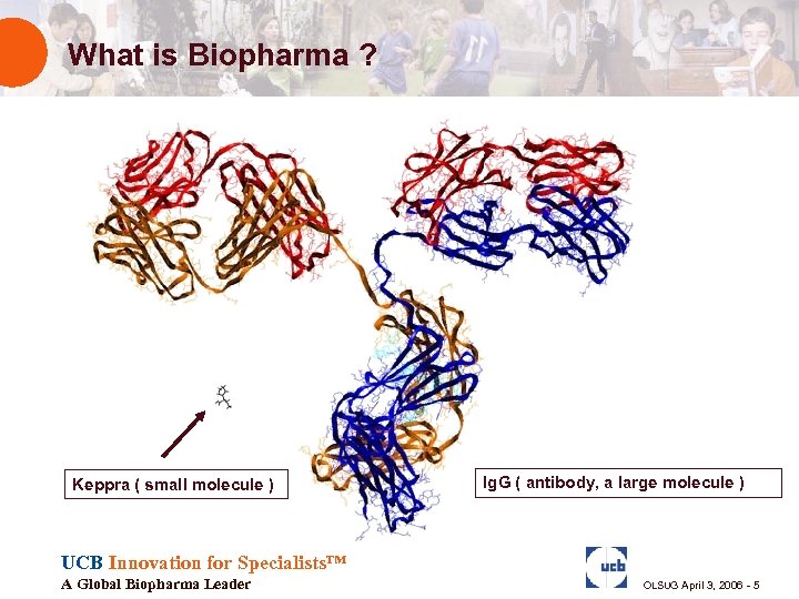 What is Biopharma ? Keppra ( small molecule ) Ig. G ( antibody, a