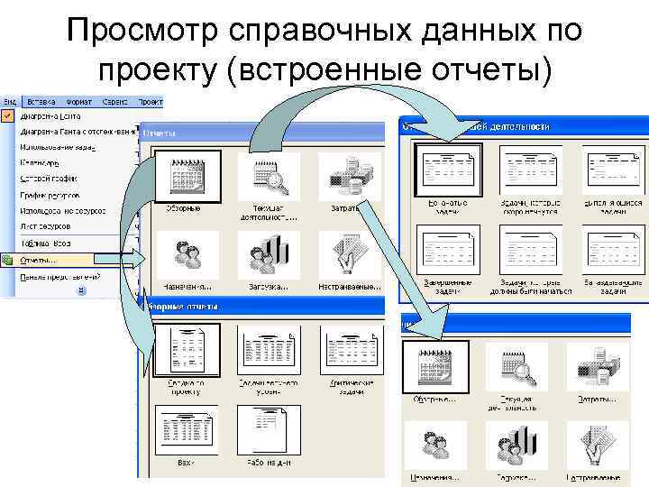 Просмотр справочных данных по проекту (встроенные отчеты) 