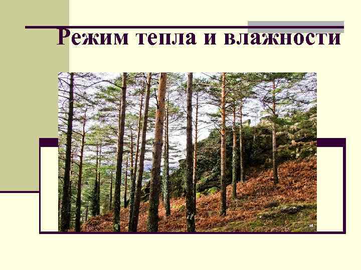 Режим тепла и влажности 