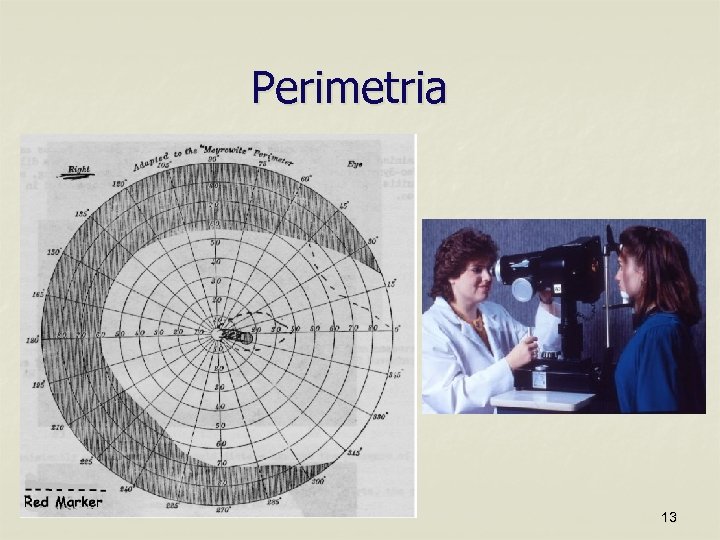 Perimetria 13 