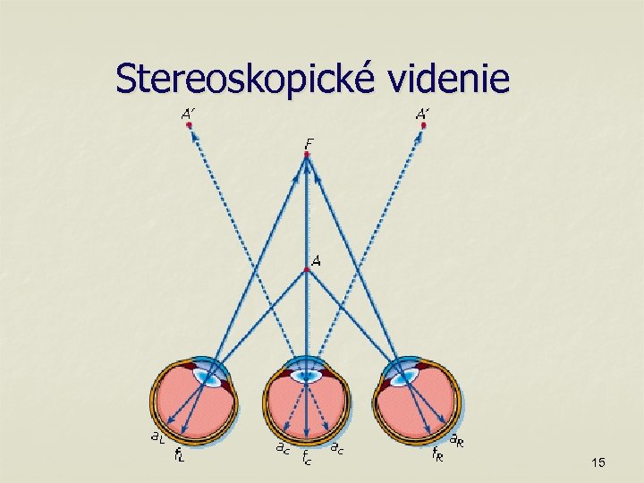 Stereoskopické videnie 15 