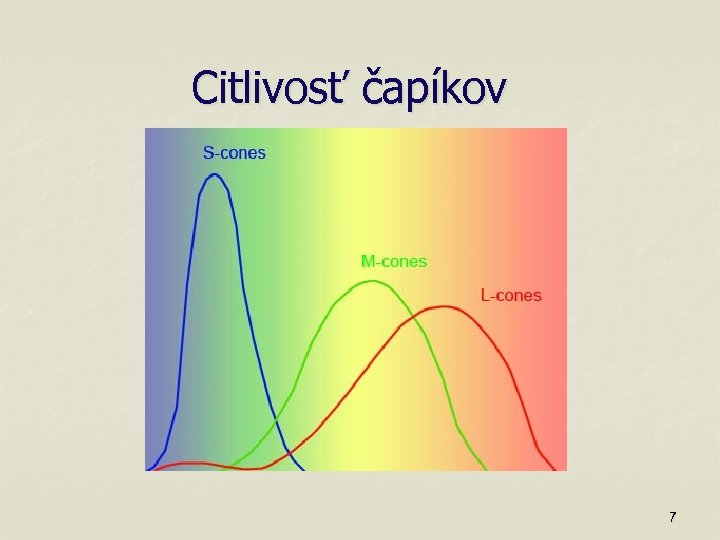 Citlivosť čapíkov 7 