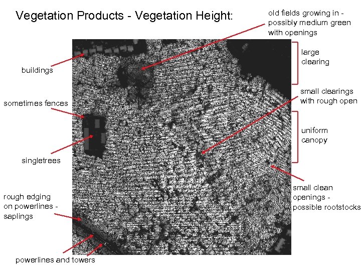 Vegetation Products - Vegetation Height: buildings sometimes fences old fields growing in possibly medium