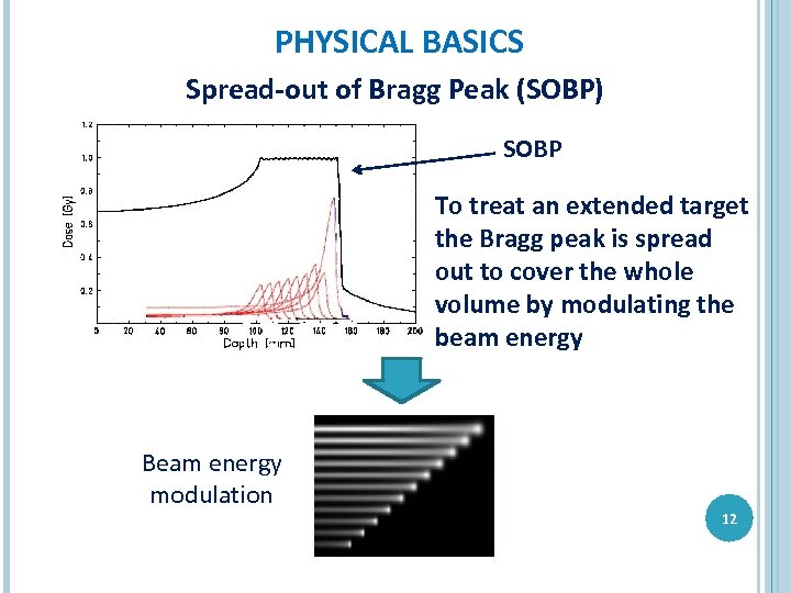 PHYSICAL BASICS Spread-out of Bragg Peak (SOBP) SOBP To treat an extended target the