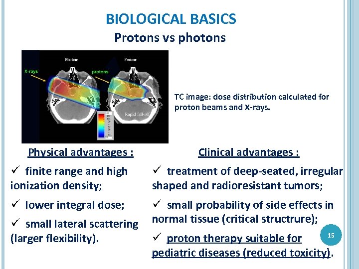 BIOLOGICAL BASICS Protons vs photons TC image: dose distribution calculated for proton beams and