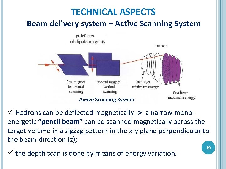 TECHNICAL ASPECTS Beam delivery system – Active Scanning System ü Hadrons can be deflected