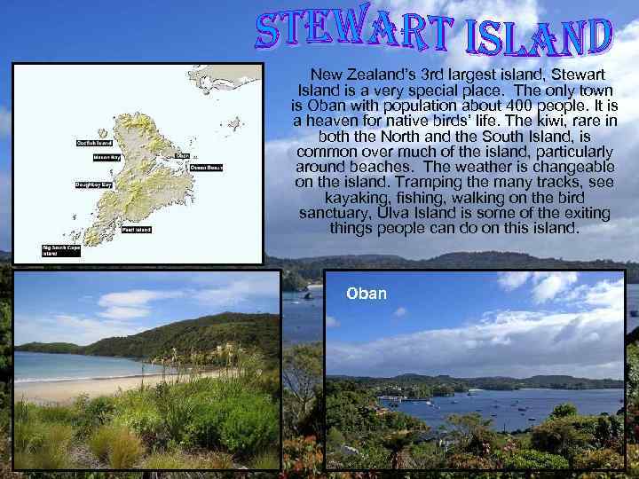 New Zealand’s 3 rd largest island, Stewart Island is a very special place. The