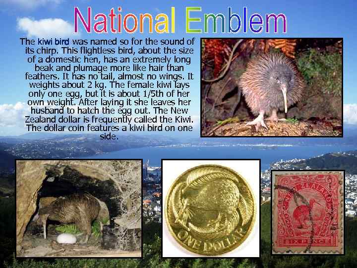 The kiwi bird was named so for the sound of its chirp. This flightless