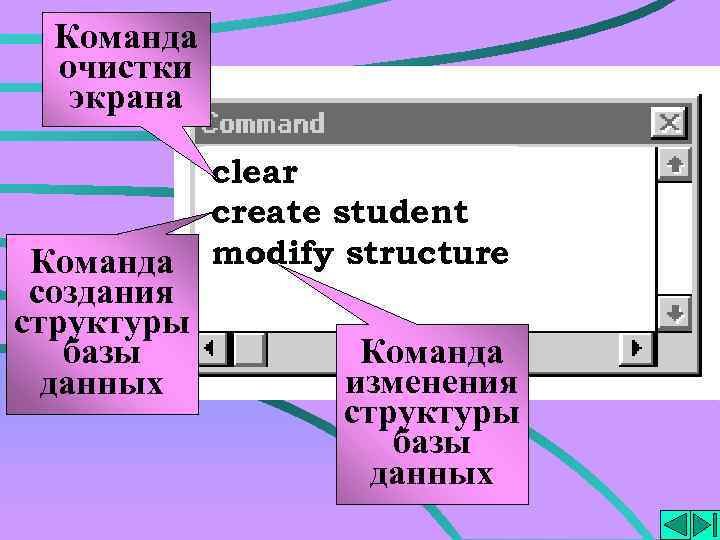 Команда очистки экрана Команда создания структуры базы данных clear create student modify structure Команда