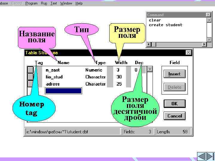 Название поля Номер tag Тип Размер поля десятичной дроби 